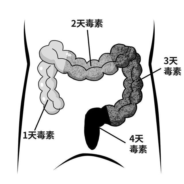 在生活中，一个普通的“清肠大师”会排出又黑又臭的粪便来拯救小胃。 