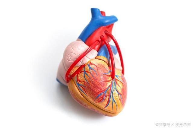 心瓣膜病不重视？它的危险性不低，建议及时治疗。 